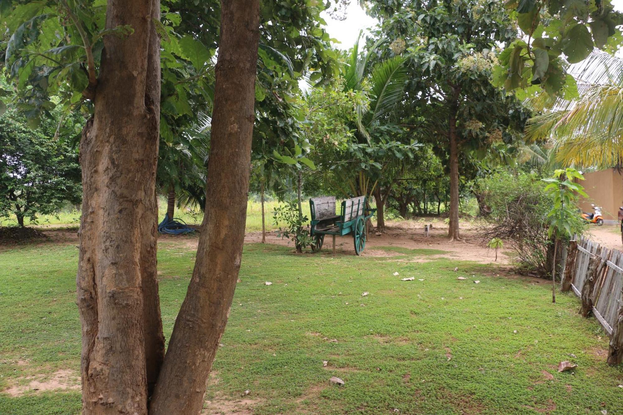 Villa Wildescape, Yala Blocks 3 & 5 Buttala Exterior foto