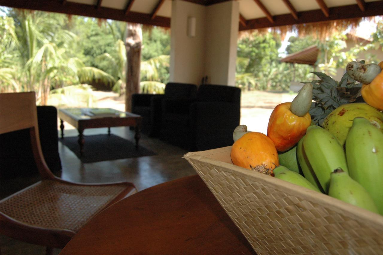 Villa Wildescape, Yala Blocks 3 & 5 Buttala Exterior foto