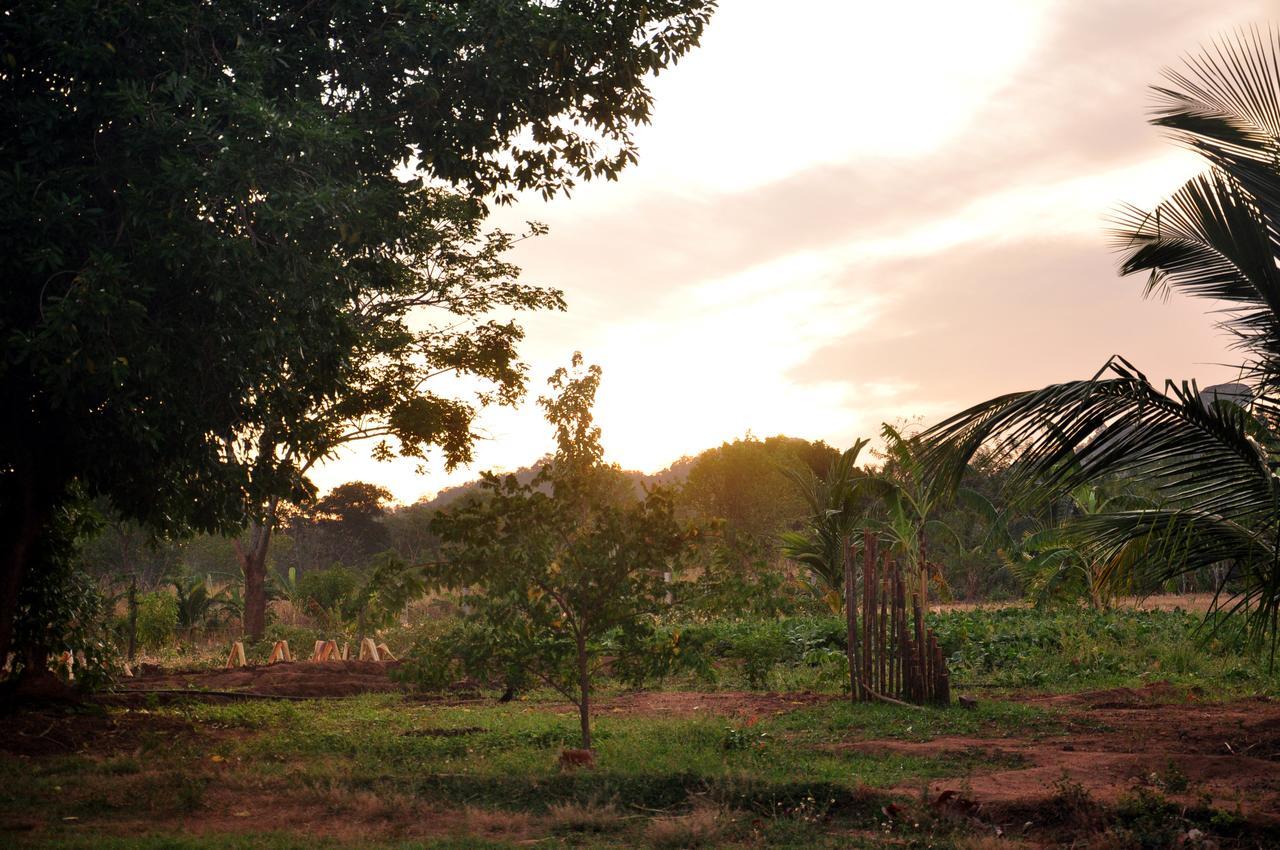 Villa Wildescape, Yala Blocks 3 & 5 Buttala Exterior foto