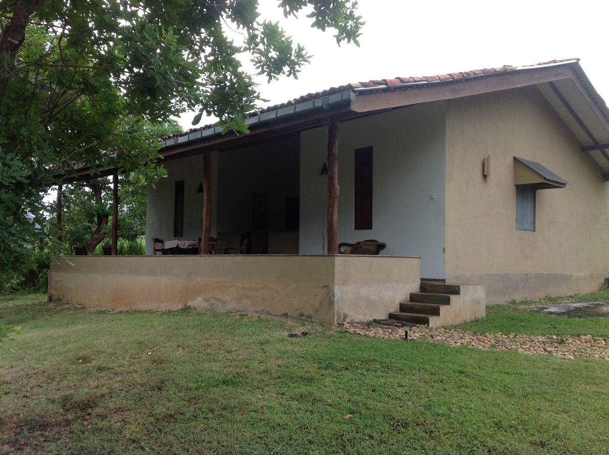 Villa Wildescape, Yala Blocks 3 & 5 Buttala Exterior foto
